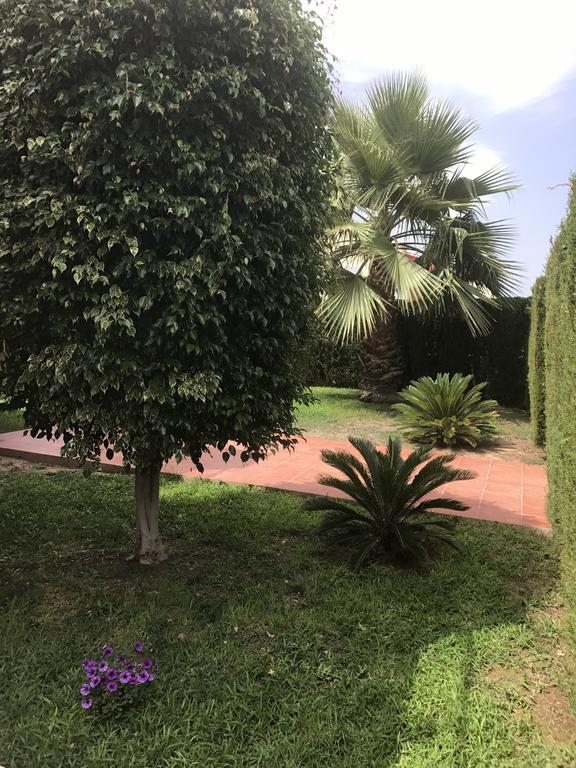 Apartment Altos De La Bahia X Torrevieja Esterno foto